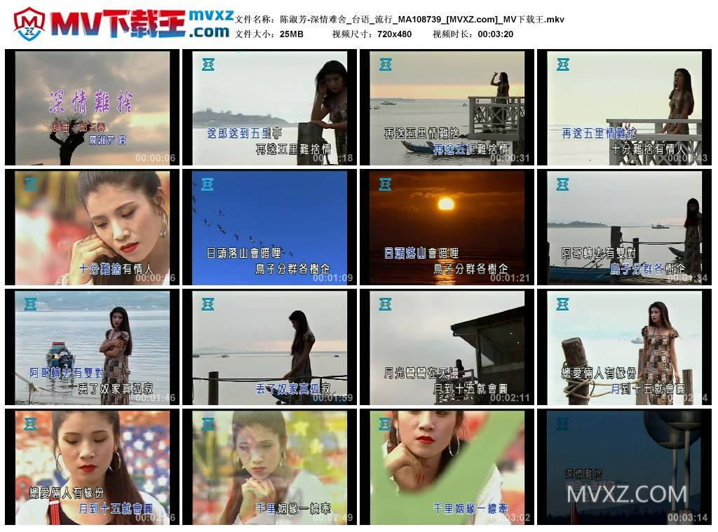 陈淑芳-深情难舍_台语_流行_MA108739